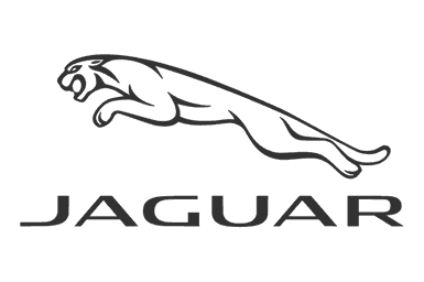 Jaguar Jaguar